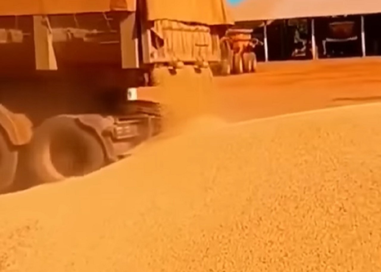 Caminhoneiro descarregou carga no pátio de empresa após esperar 5 dias por autorização