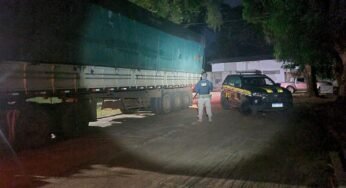 Fiscalização resulta na apreensão de 50 metros cúbicos de carvão sem documentação legal na BR-230