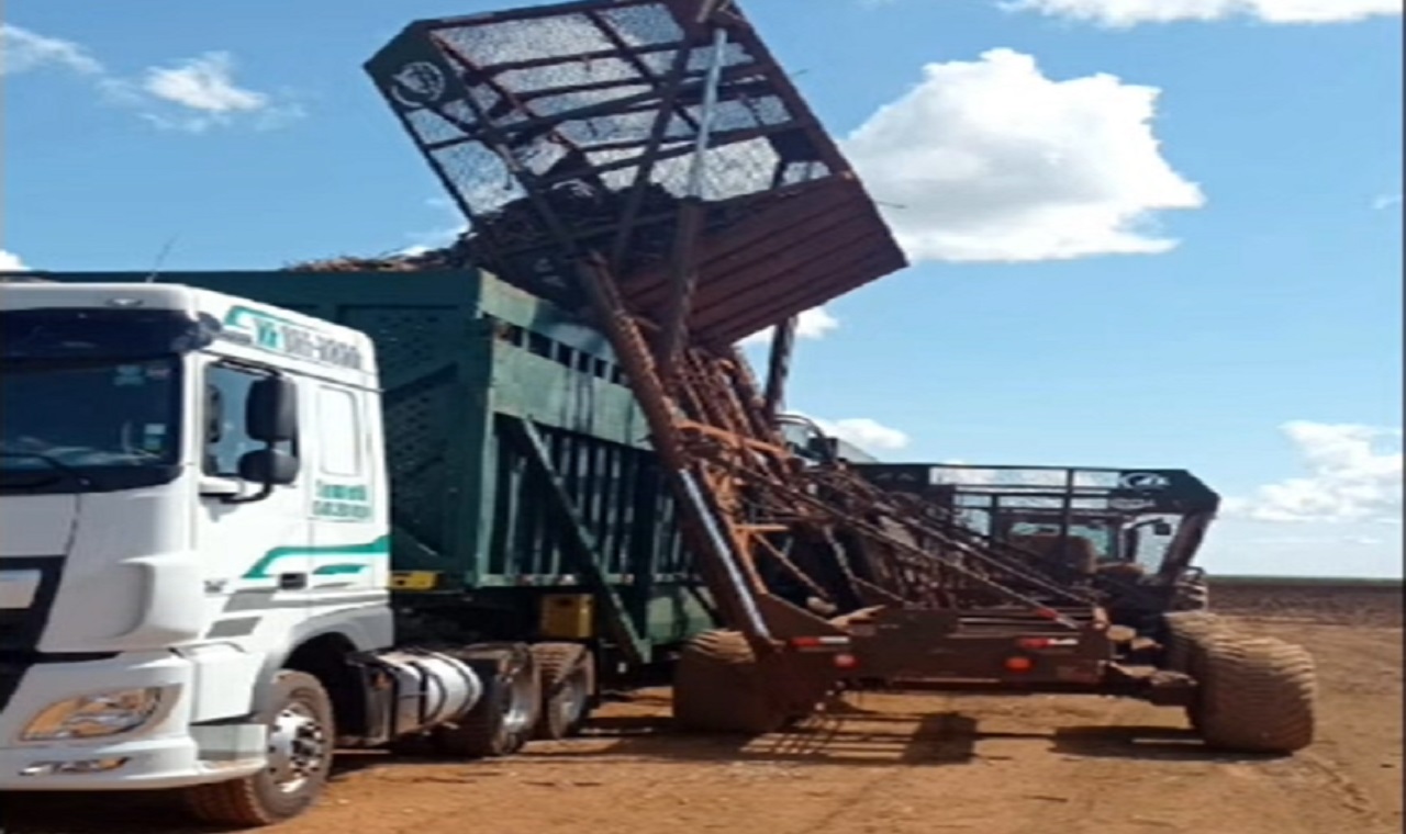 Novo caminhão da DAF consegue tracionar três carretas ao mesmo tempo