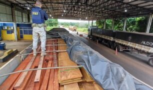 PRF apreende carregamento de madeira ilegal e prende caminhoneiro por uso de documento falso