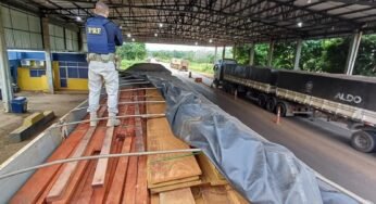 PRF apreende carregamento de madeira ilegal e prende caminhoneiro por uso de documento falso