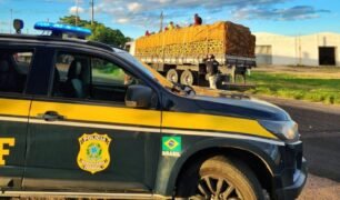 PRF flagra oito pessoas sendo transportadas em cima da carga de caminhão