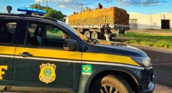 PRF flagra oito pessoas sendo transportadas em cima da carga de caminhão