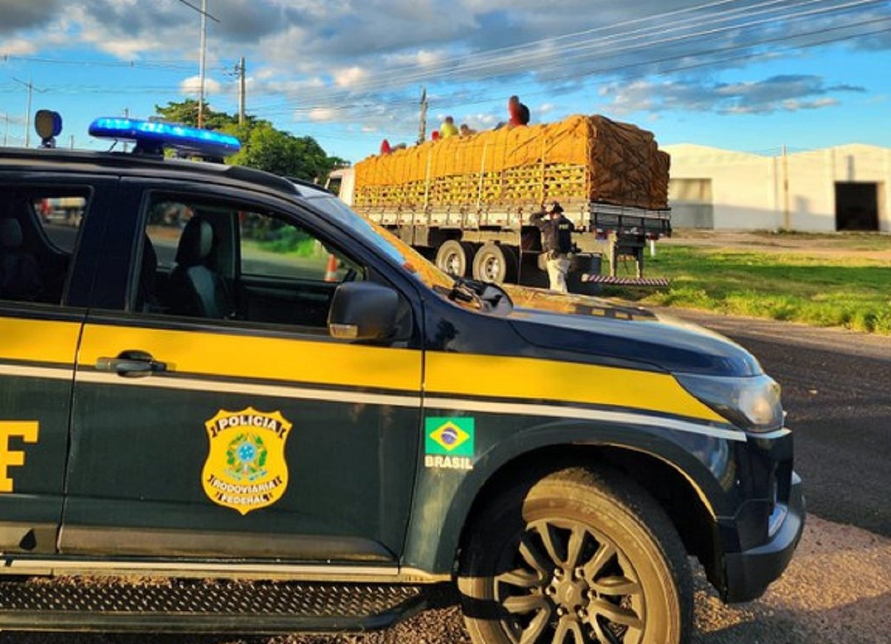 PRF flagra oito pessoas sendo transportadas em cima da carga de caminhão
