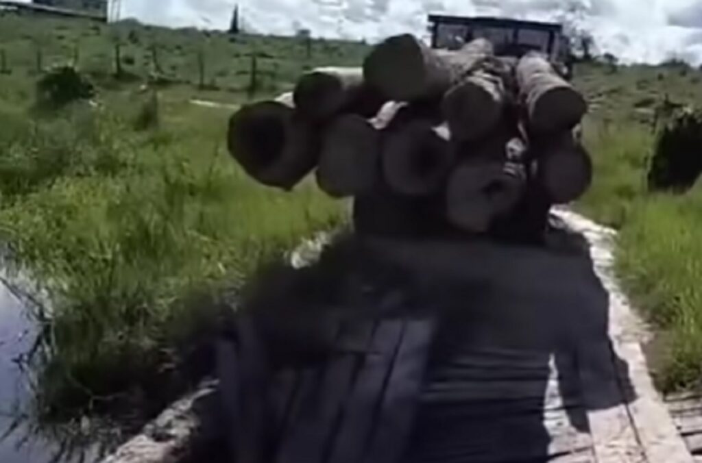 Caminhoneiro carrega toras de madeira de forma irregular e provoca incidente