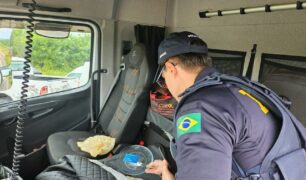 PRF alerta para o perigo do consumo de drogas por motoristas de carga