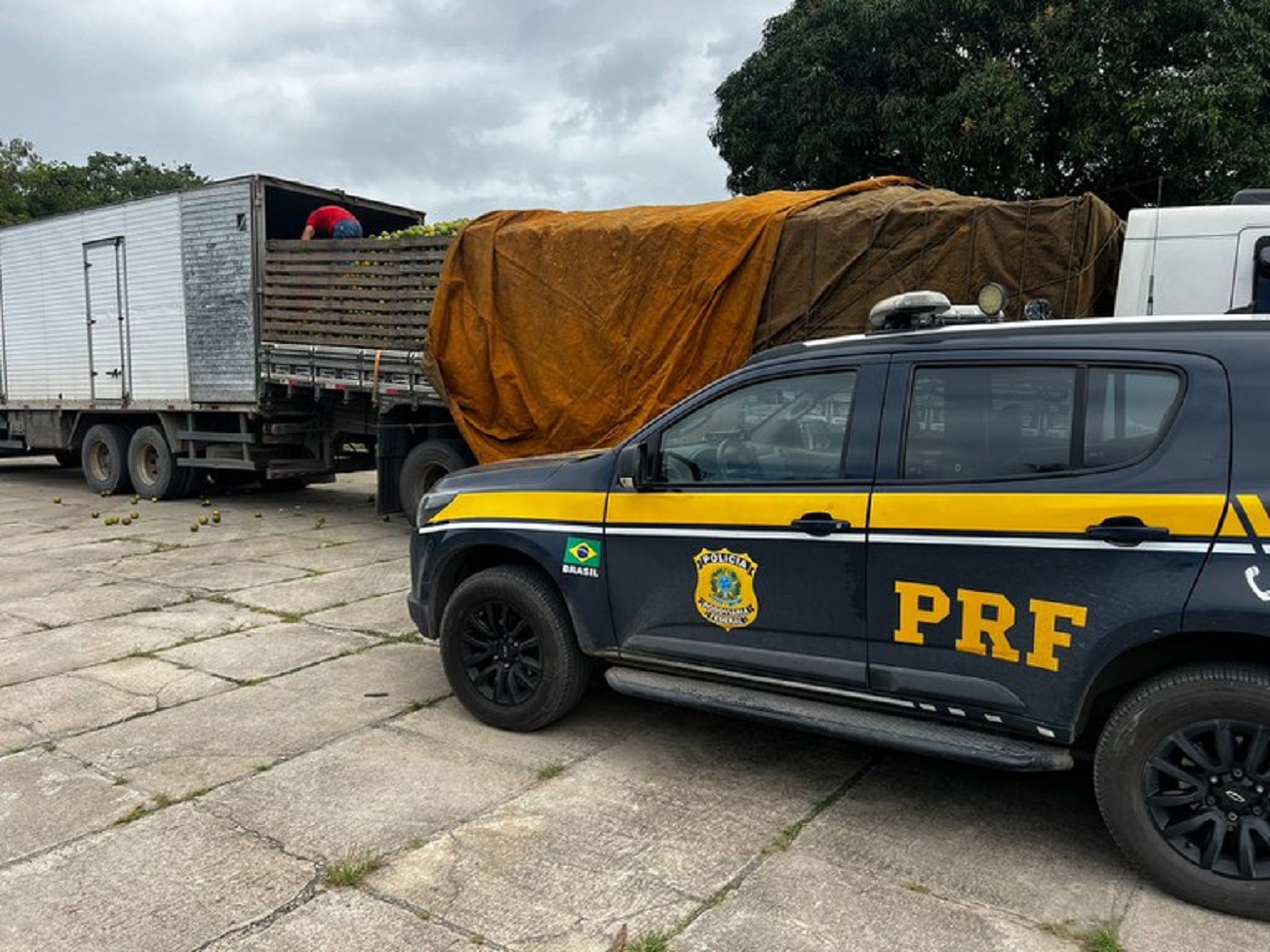 PRF prende caminhoneiro por desacato a autoridade na Bahia