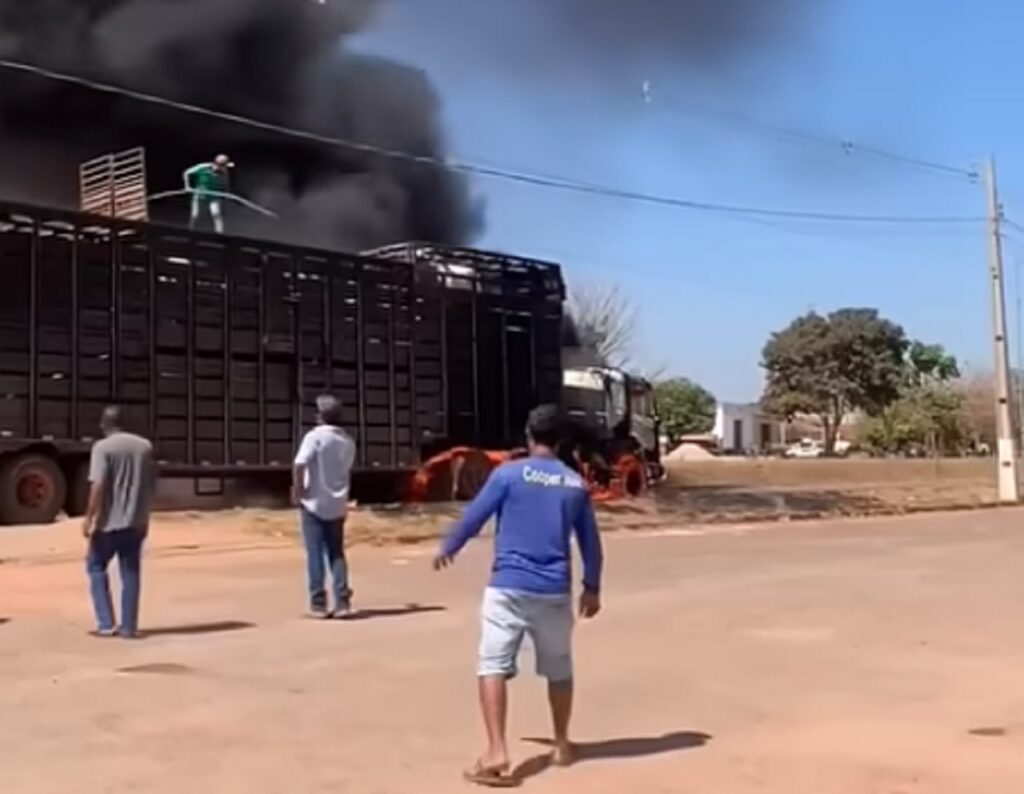 Caminhão com 40 bois pega fogo na BR-070 em Mato Grosso