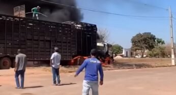 Caminhão com 40 bois pega fogo na BR-070 em Mato Grosso