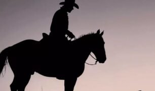 Homem montado em cavalo é preso após furto recorrente de diesel
