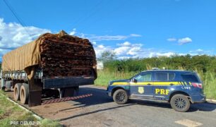 PRF apreende carga de madeira ilegal em Piripiri  (PI)