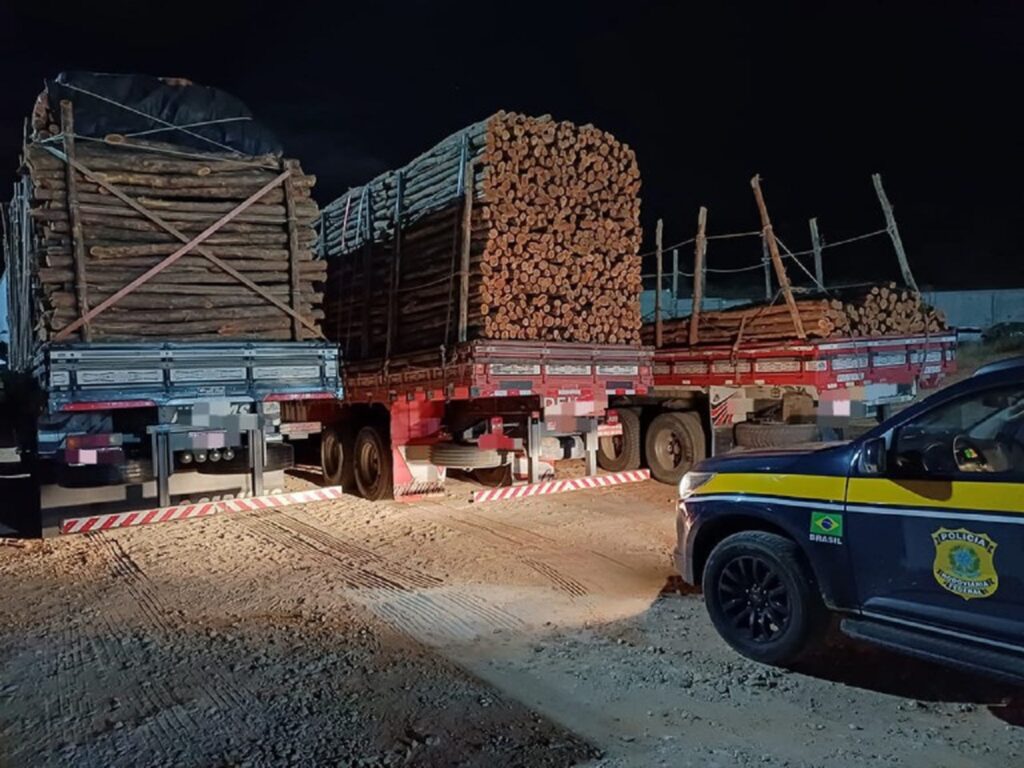 PRF apreende mais de 70 m³ de madeira irregular em Pernambuco