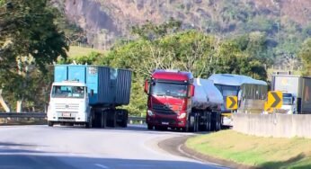 Morte de animais silvestres alcançam números alarmantes em rodovias