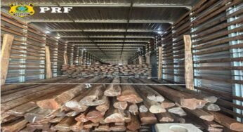 PRF apreende 32,7 m³ de madeira ilegal no Tocantins