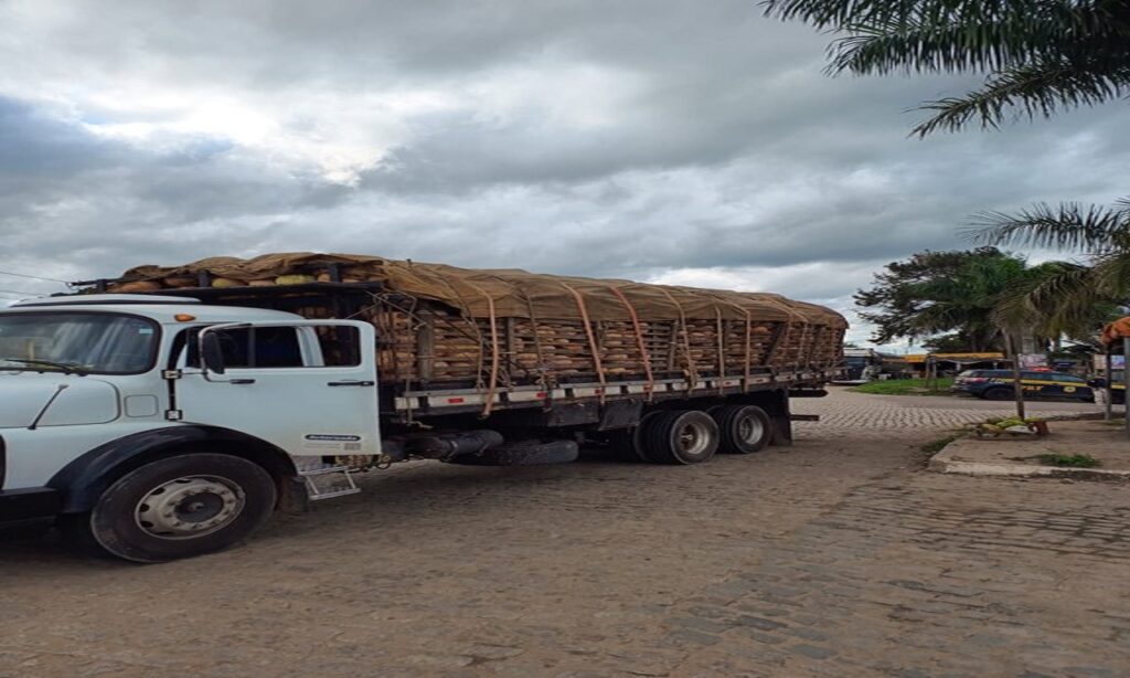 PRF apreende caminhão com 9 toneladas de excesso de peso em Teixeira de Freitas, Bahia