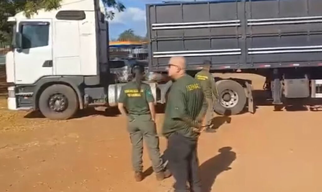 PRF apreende carga de madeira Acapu no Goiás