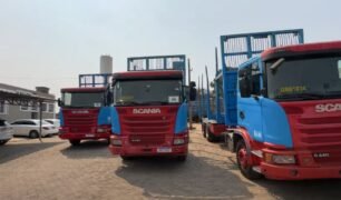 Leilão de caminhões traçados movimenta mercado em Betim, Minas Gerais