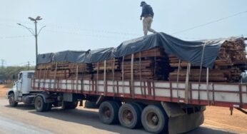 PRF apreende caminhão que transportava madeira de forma irregular em Itapuã do Oeste, Rondônia