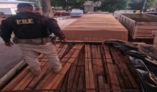 PRF apreende carga de madeira ilegal em município paraense