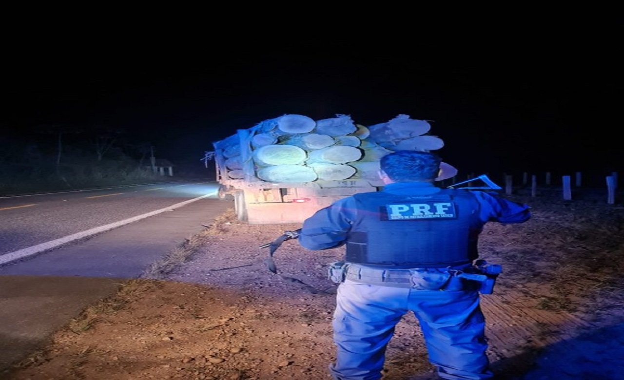 PRF apreende mais de 20m³ de madeira irregular no Pará