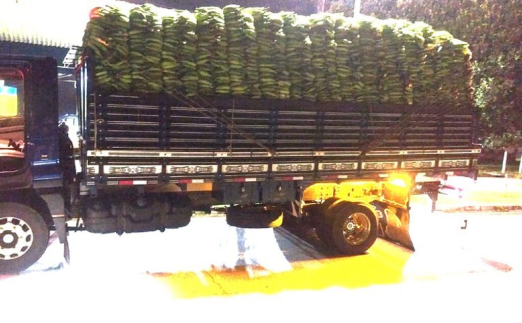 PRF fiscaliza caminhão com irregularidades na amarração da carga de bananas, em município baiano