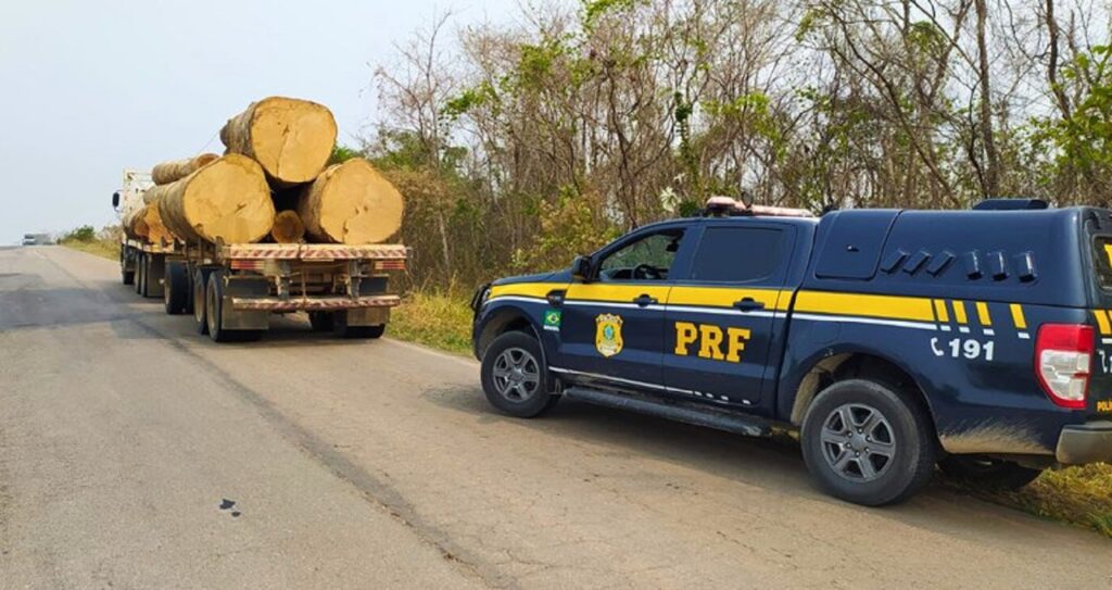 PRF flagra transporte de madeira ilegal durante ronda na Br-364