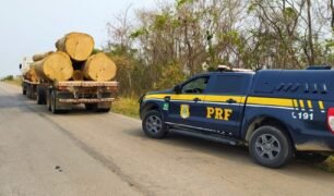 PRF flagra transporte de madeira ilegal durante ronda na Br-364