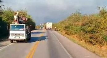 Uma briga no acostamento de uma rodovia impacta trânsito no local