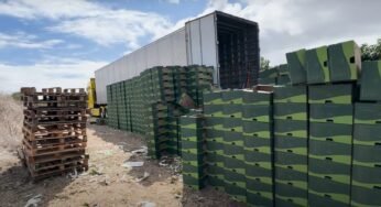 Frete subiu: Falta caminhão em Juazeiro