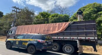 PRF aprende quase 30 m³ de madeira ilegal no Piauí