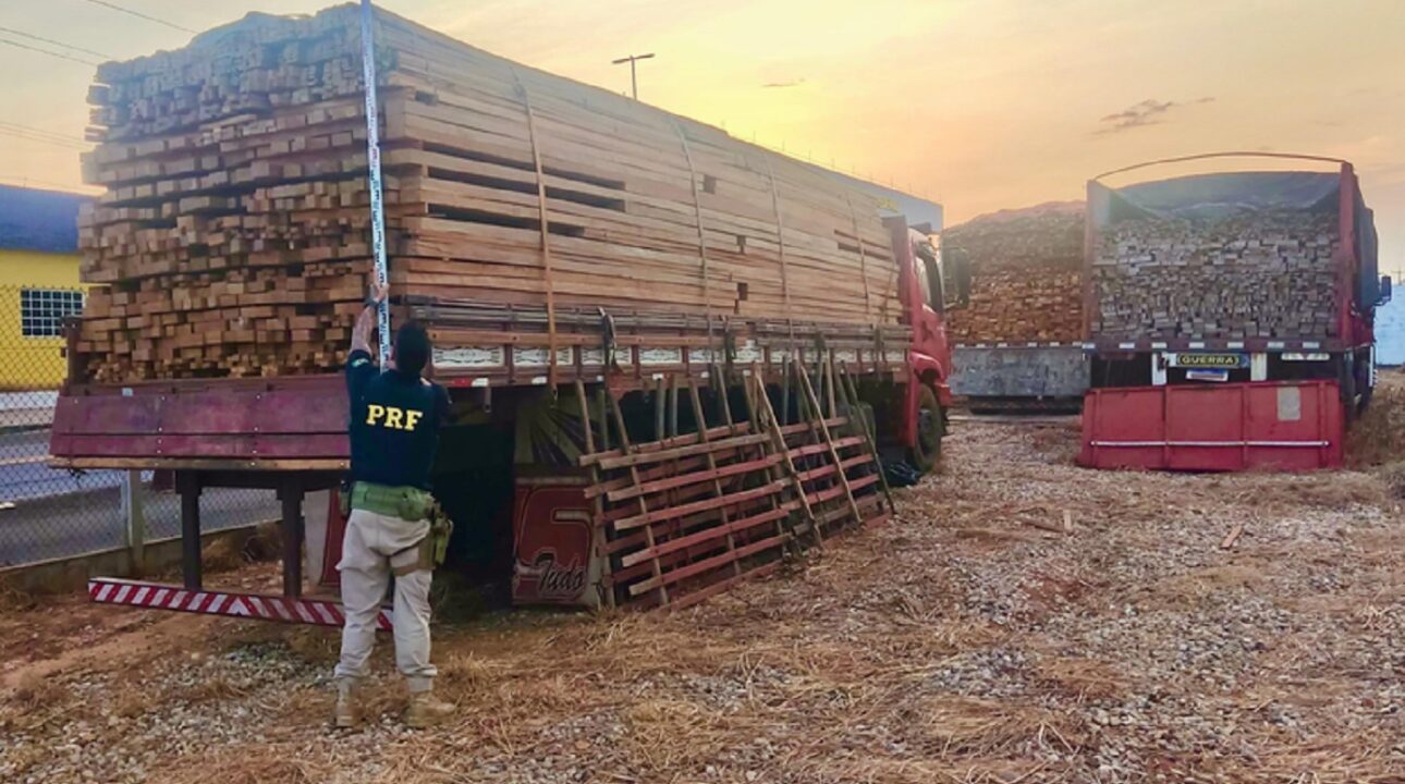 PRF e Polícia Militar apreendem carga de madeira ilegal no Maranhão