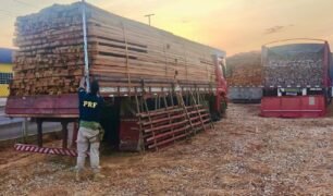 PRF e Polícia Militar apreendem carga de madeira ilegal no Maranhão
