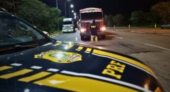 PRF flagra caminhoneiro com comprimidos de Rebite na Br-101