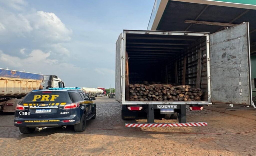 Caminhão com madeira nativa com documentação inválida é flagrado em Aguiarnópolis, Tocantins