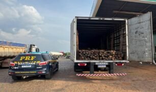 Caminhão com madeira nativa com documentação inválida é flagrado em Aguiarnópolis, Tocantins
