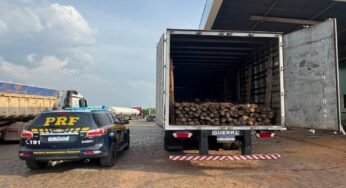 Caminhão com madeira nativa com documentação inválida é flagrado em Aguiarnópolis, Tocantins