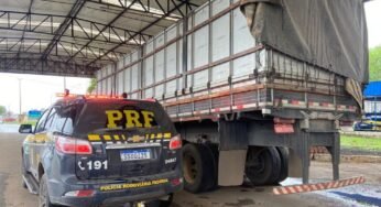 PRF apreende carregamento irregular em Brasília