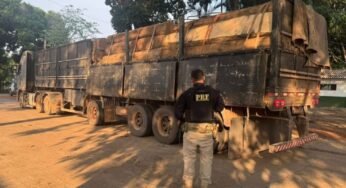 PRF apreende madeira ilegal em município paraense