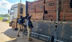 PRF identifica transporte irregular de madeira serrada em Rondônia