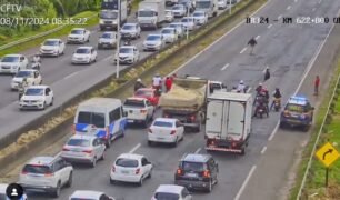 PRF para trânsito na Bahia para travessia de cachorro machucado