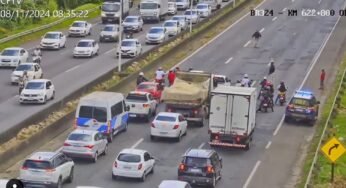 PRF para trânsito na Bahia para travessia de cachorro machucado