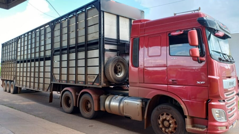 PRF apreende caminhão transportando 70 bovinos de forma irregular no Maranhão