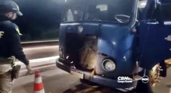 PRF apreende caminhão de 1965 em péssimas condições transportando novinos na BR-262