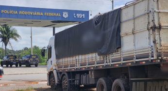 PRF apreende mais de 60 m³ de madeira ilegal no Maranhão; motorista portava anfetaminas