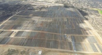 Mercedes-Benz e Raízen Power impulsionam energia solar com projeto Dunamis no RN