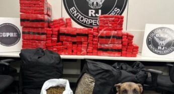 Caminhoneiro é preso com 300 kg de maconha escondidos em carga de arroz na Dutra