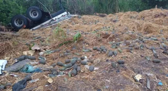 Caminhoneiro de 31 anos morre após capotamento na BR-153, no Paraná