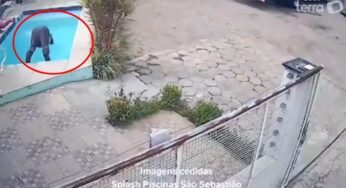 Caminhoneiro para em loja e mergulha em piscina para aliviar calor no Litoral Norte de SP