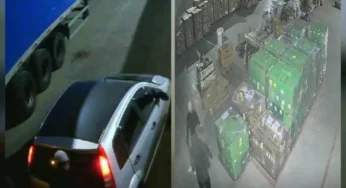 Filho furta transportadora do próprio Pai e é Preso em Itajaí (SC)