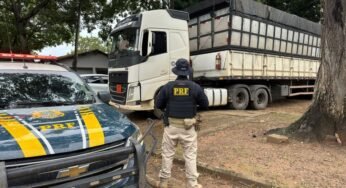 PRF apreende 95 m³ de carvão vegetal ilegal na BR-155, em Marabá (PA)